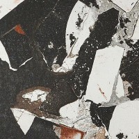 IC307DR I Cocci Grafite Spaccato 30x30