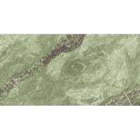 INFINITY MOSS 60х120