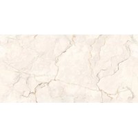 Infinity Electico Ivory 60x120