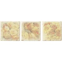 Serenissima CIR Inserto Ottocento Botticino S/3 10x10 (комплект)