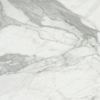 Invictus Natural 120x120