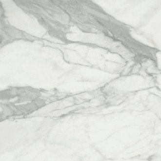 Invictus Natural 120x120