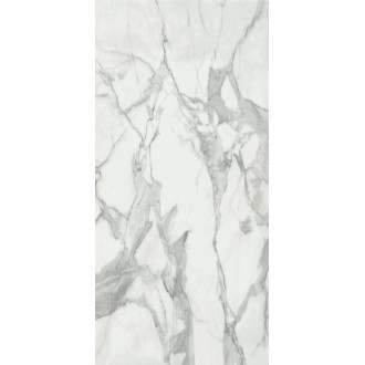 Invictus Pulido 120x260