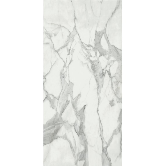 Керамогранит Invictus Pulido 120x260