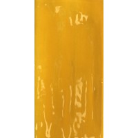 Керамогранит Joyful Mango 10х20