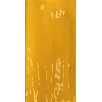 Керамогранит Joyful Mango 10х20