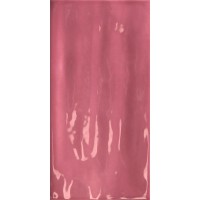 Керамогранит Joyful Pitaya 10х20