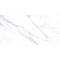 KADEO Bianco Polished 60x120