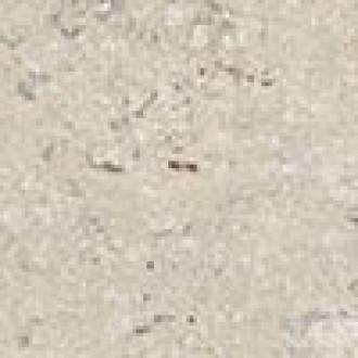 L45020 TOZZ.KASHMIR WHITE 5X5