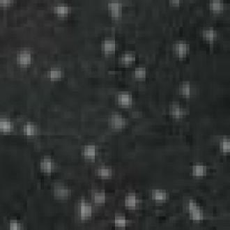 Керамогранит L906 Ang.Fascia Astra Gryphea Lapp. Rett 7x7