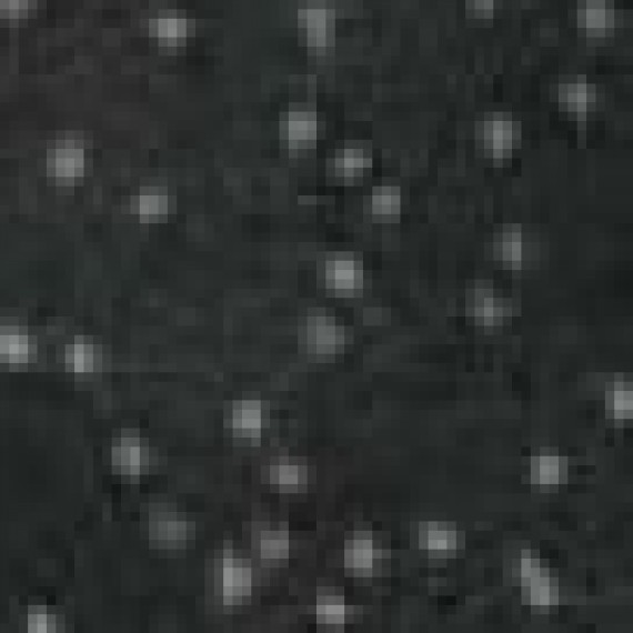 Керамогранит L906 Ang.Fascia Astra Gryphea Lapp. Rett 7x7