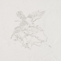 Керамогранит L907 Aquila Arenal Lapp. Rett 49x49