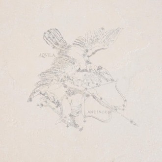 Керамогранит L908 Aquila Eos Lapp. Rett 49x49