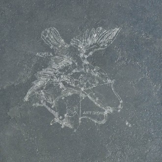 Керамогранит L910 Aquila Fuligo Lapp. Rett 49x49