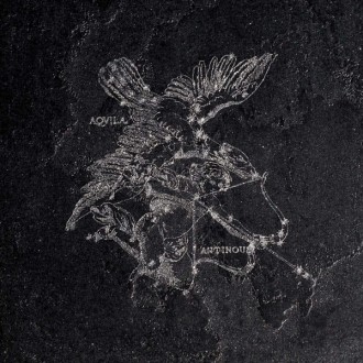 Керамогранит L911 Aquila Gryphea Lapp. Rett 49x49