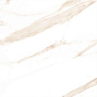 LUNA Gold Glossy 60x60