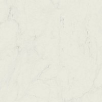 M0FP Grande Marble Look Altissimo Rett. 120х120
