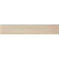 MANGO 2012 20x120