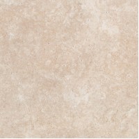 MARBLE STYLE FIORITO BEIGE 10X10