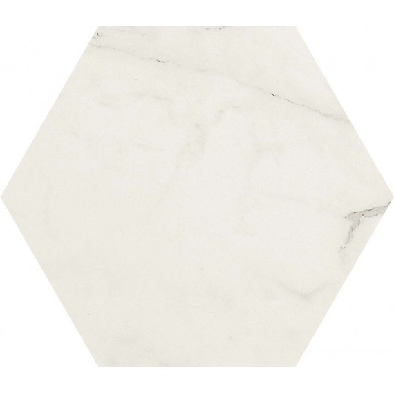 Керамогранит MMHT Allmarble Altissimo 21x18.2 