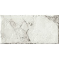 Керамогранит Magistra Classic Paonazzetto 20*40