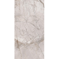 Marble Dragon Grey Silk 60x120
