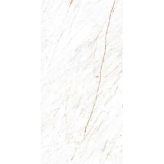 Nero White 60x120