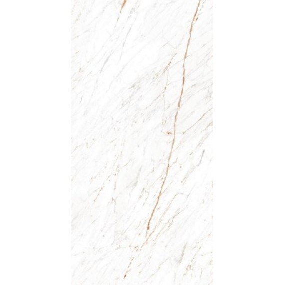 Керамогранит Nero White 60x120