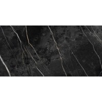 Керамогранит Nuit Gloss 49,1x98,2