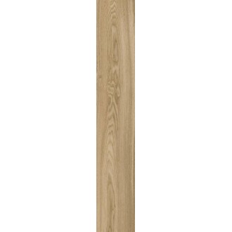 OAK GINGER RTT 20X120