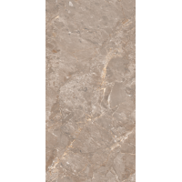 Oracle Brown Glossy 120x60