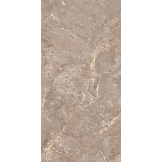 Oracle Brown Glossy 120x60