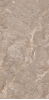 Oracle Brown Glossy 120x60
