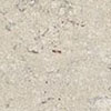 P10871 TOZZ.KASHMIR WHIT.P. 10X10