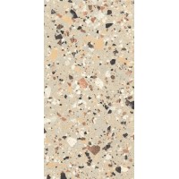 P62411 Venice Beige Nat R10 60*120 