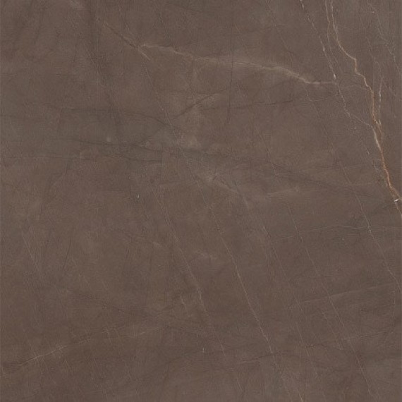 Керамогранит P66336 SQ.GAUDI STONE N. 60X60