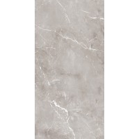 PF60004301 Epoque Grey Lap 60X120