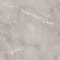 PF60004309 Epoque Grey Ret 60X60