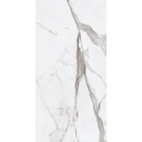 PF60004974 Epoque White Statuario Lap 60X120