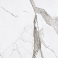 PF60004976 Epoque White Statuario Ret 60X60