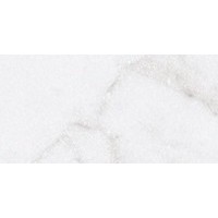 PF60005127 Epoque White Statuario Nat 11,5X23