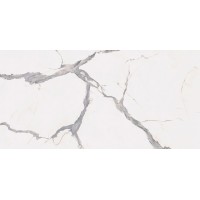 PF60005735 SENSI UP STATUARIO VERSILIA RET 60x120