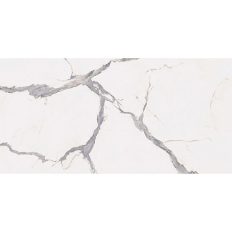 PF60005735 SENSI UP STATUARIO VERSILIA RET 60x120