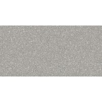 PF60006702 Blend Dots Grey Ret 60x120