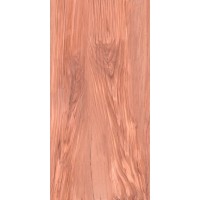 Керамогранит PR0070 Олива 30х60