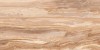 Керамогранит PR0167 Беж /Beige 60х120