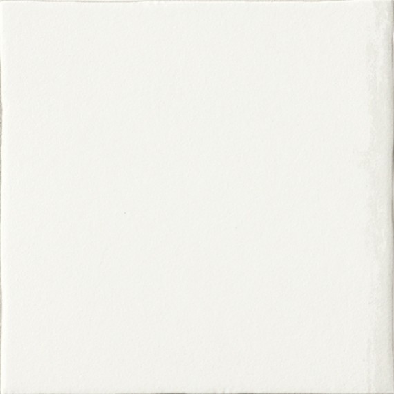 Керамогранит PROGETTO BIANCO LAPP 20x20