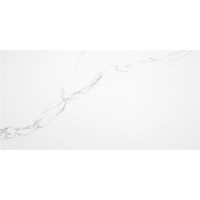 PUNE BLANCO MATE RECT 60x120