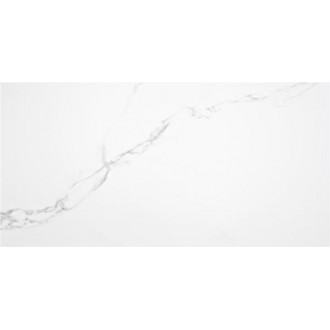 PUNE BLANCO MATE RECT 60x120