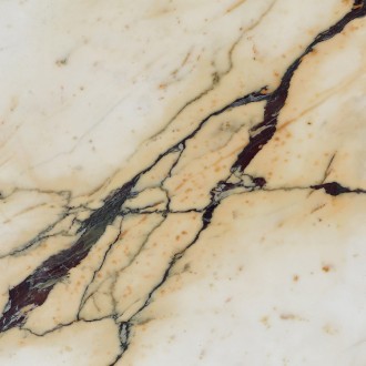 Керамогранит Paonazzetto полированный 60x60